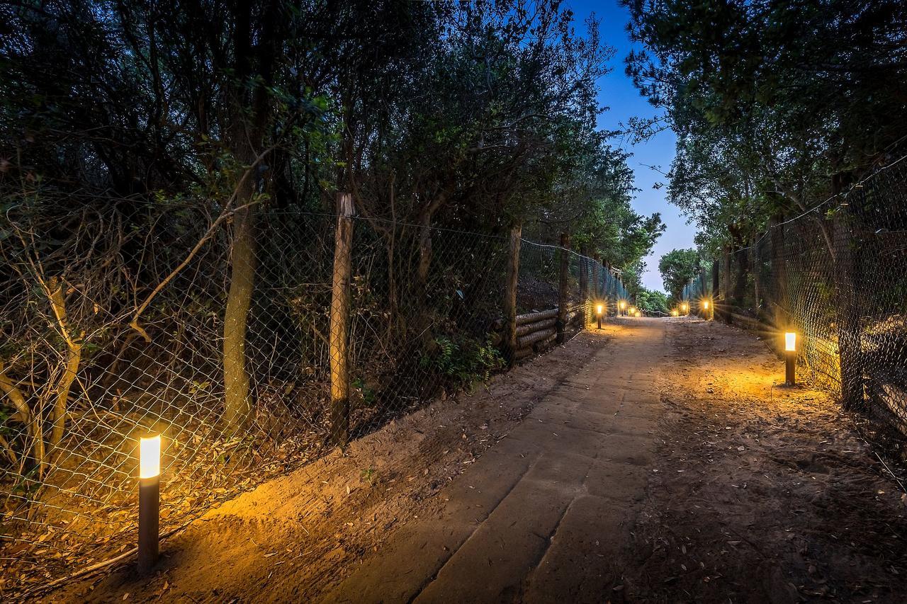 Camping Internazionale Etruria Castiglione della Pescaia Extérieur photo